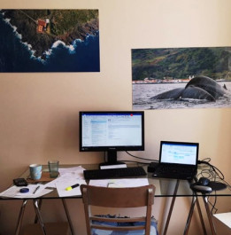 Foto mit einem Schreibtisch, einem Laptop, einem Bildschirm, Tastertur,Maus und Papiere