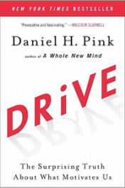 „Drive: Was sie wirk­lich moti­viert“ – eine Buch­emp­feh­lung