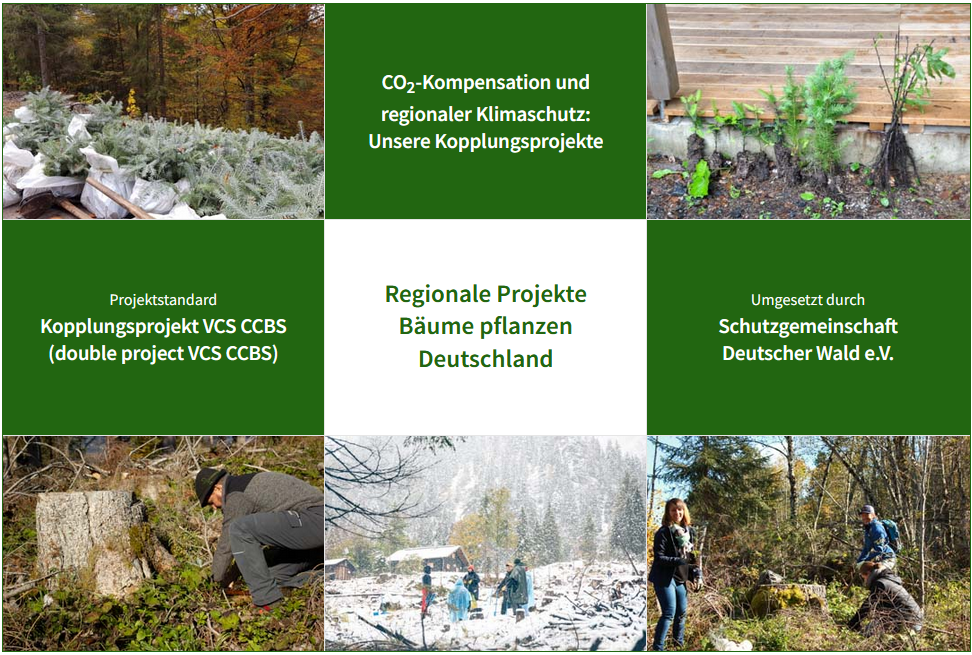 Übersicht über das ClimatePartner-Projekt Bäume pflanzen